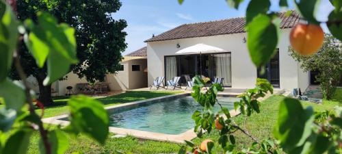 Van Gogh en Provence