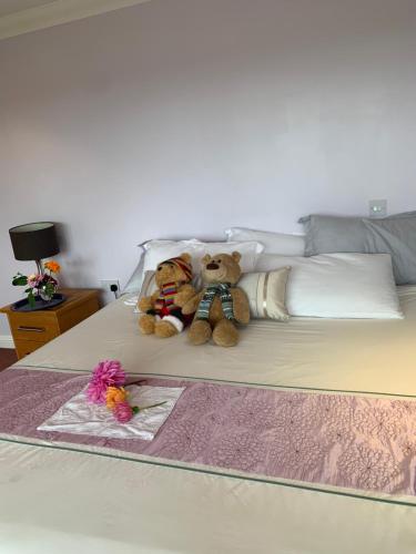 Deux ours en peluche sont assis sur un lit dans l'établissement Guest have the sole use limited, à Saint Ives