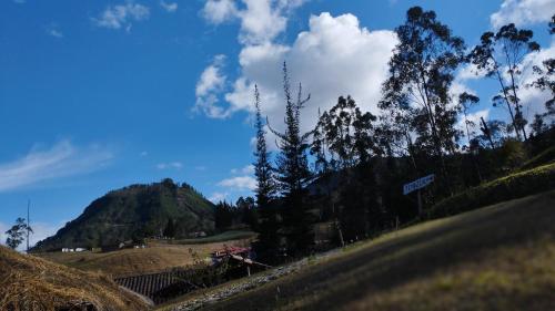 a view of a hill with trees and a mountain at PONDOWASI LODGE in Ibarra