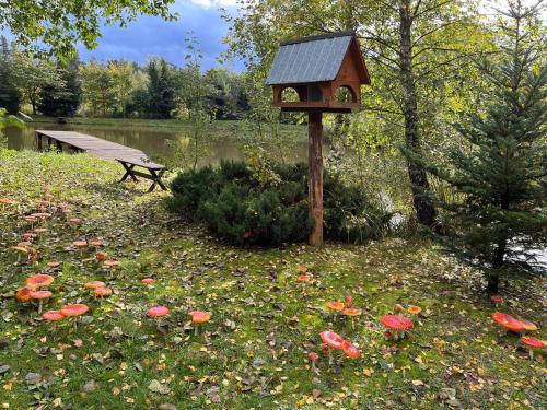 a bird house and a bench next to a pond at Las i Staw Roztocze in Wólka Łosiniecka