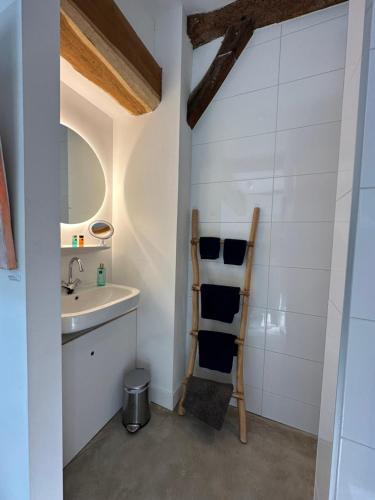 een badkamer met een wastafel en een spiegel bij Galerie23noordsleen in Noord-Sleen