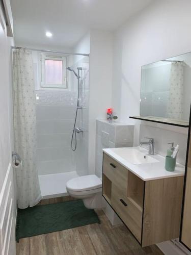 une salle de bain avec toilettes, lavabo et douche dans l'établissement Au Sunrise Studio, à Thonon-les-Bains