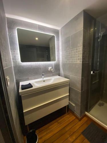 une salle de bain avec un lavabo et une douche dans l'établissement Au cœur du vignoble champenois, à Ay