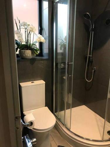 a bathroom with a toilet and a glass shower at Modern Annex in Kent