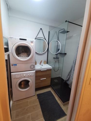 une salle de bain avec une machine à laver et un lavabo dans l'établissement Charmant studio à Montmorency, à Montmorency