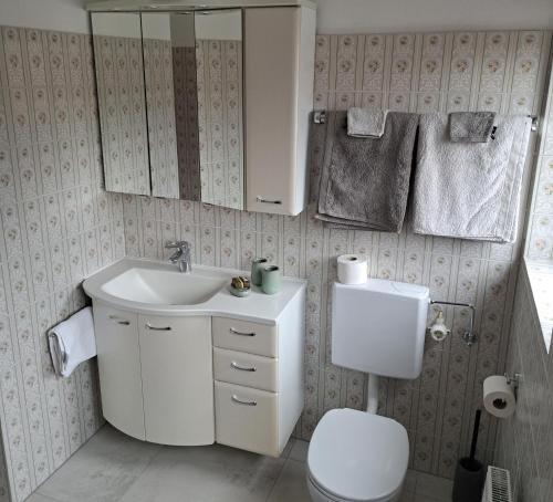 ein Badezimmer mit einem Waschbecken, einem WC und einem Spiegel in der Unterkunft Ferienwohnung Waldblick in Kramsach