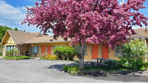 a tree with pink flowers in front of a building at Lofts Fleuve et Montagnes in Sainte-Anne-de-Beaupré