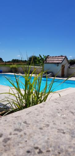 a plant on the beach with a house in the background at Gites Le Grand Tornage in Évaux-les-Bains