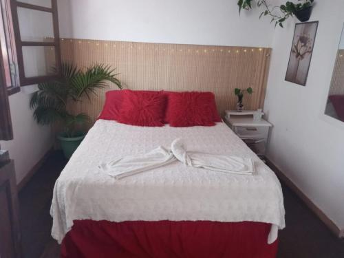 Lua de Aquarius Boutique Hostel في Tamoios: غرفة نوم بسرير كبير ومخدات حمراء