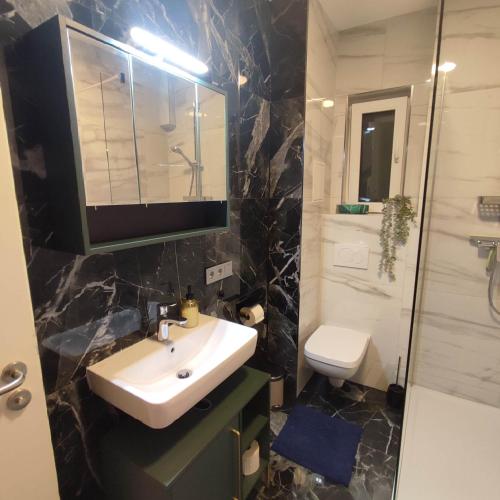 a bathroom with a sink and a toilet at Praktisch und Gut in der Goldstadt in Pforzheim
