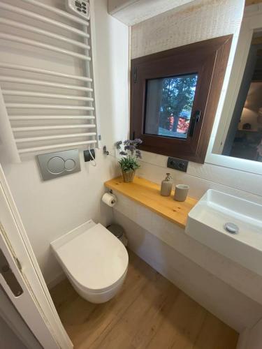 une salle de bain avec toilettes, lavabo et fenêtre dans l'établissement Chalet de montaña, à Bolquère-Pyrénées 2000