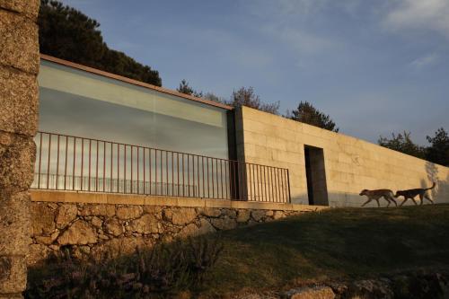 two dogs walking in front of a building at Leiras do Tempo - Adults Nature Retreat - Cottages - Gerês National Park in Brufe