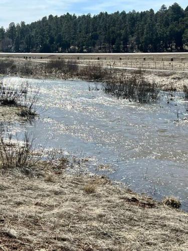 a river with snow on the ground and a field at Scenic Luxury Villa! in Show Low