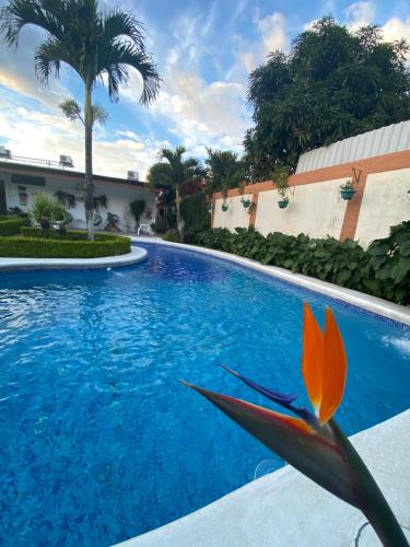 a blue swimming pool with a flower in the middle at Berlor Airport Inn in Alajuela City