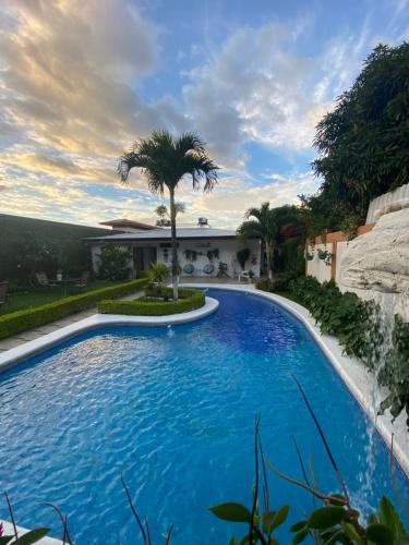 a large swimming pool with a palm tree in front of a house at Berlor Airport Inn in Alajuela City