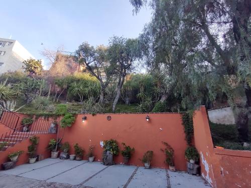 Una valla naranja con plantas en macetas. en Laica House, en San Miguel de Allende