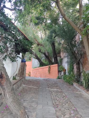 a brick road with trees and a brick wall at Laica House in San Miguel de Allende