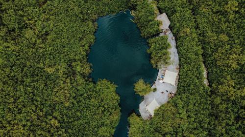 an aerial view of a lake in a forest at Casa Teka in Tulum