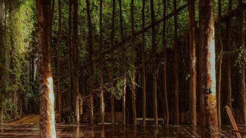 a room with a bunch of trees and a bench at Casa Teka in Tulum
