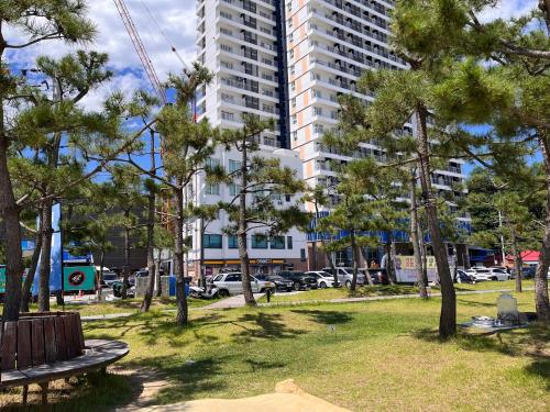 a park with a bench and trees and a tall building at SurfingStay in Yangyang