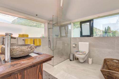 a bathroom with a stone sink and a toilet at Splendido attico per chi ama escursioni nella natura in Grono