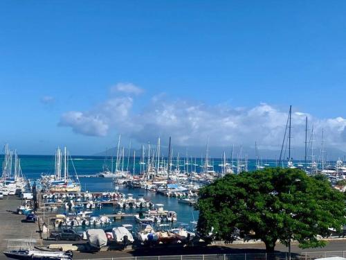 Perle sur la Marina vue Moorea