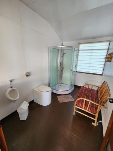 uma casa de banho com uma cabina de duche em vidro e um WC. em Titicaca island lodge peru em Puno