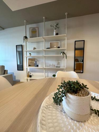 a table with a potted plant on top of it at Palko - Oasis in the City in Canberra