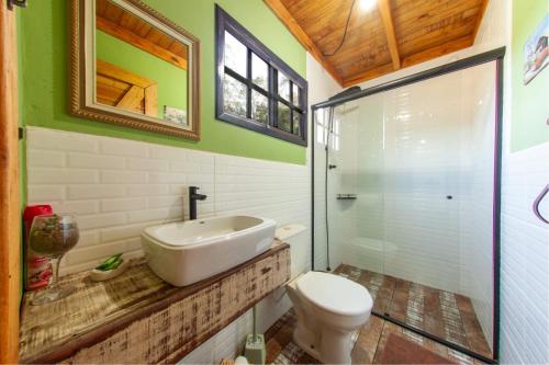 a bathroom with a sink and a toilet at Chalé Alpino in Apiúna