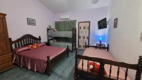 a bedroom with two beds and a tv in it at Dpto solana in Rosario de la Frontera
