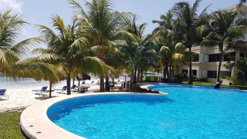 une grande piscine bleue à côté d'une plage bordée de palmiers dans l'établissement Amazing ocean front. 418, à Cancún