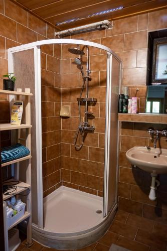 un baño con ducha y lavabo en Údolí Černého Čápa, en Hradec nad Moravicí