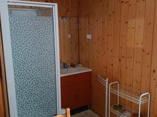 a bathroom with a sink and a glass shower door at Appartement Briançon, 2 pièces, 4 personnes - FR-1-762-8 in Briançon