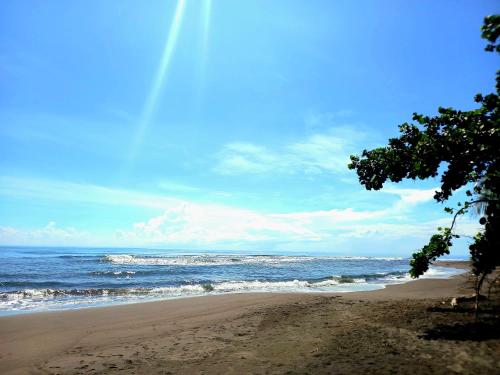 une plage de sable avec l'océan en arrière-plan dans l'établissement Tortuguero Adventures Beach House, à Tortuguero