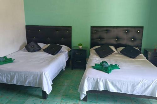 2 Betten in einem Zimmer mit grünen Wänden in der Unterkunft Apto Yori: amplio y equipado. in Mérida