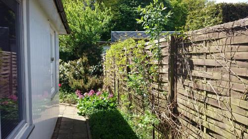 a fence with a bunch of plants on it at Haus Katharina in Loissin