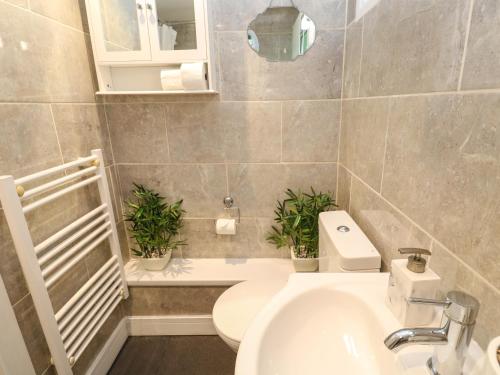 a bathroom with a sink and a toilet with plants at Villa No 50 in Lanteglos