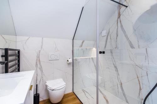 łazienka z prysznicem i toaletą w obiekcie Góralski Resort Pool & SPA apartament A42 - Black Apart w mieście Białka Tatrzanska