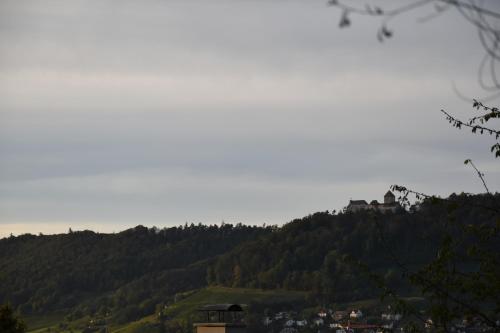a hill with a house on top of it at Bonis 2,5 Zimmer Ferienwohnung in Eschenz