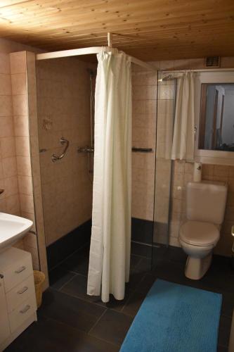 埃申茨的住宿－Bonis 2,5 Zimmer Ferienwohnung，浴室设有卫生间和带浴帘的淋浴。