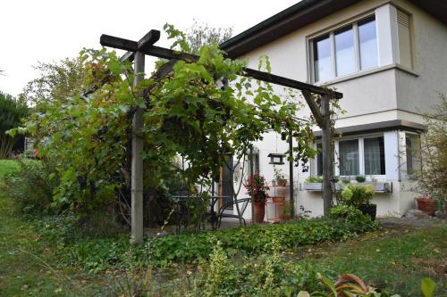 a wooden pergola in front of a house at Bonis 2,5 Zimmer Ferienwohnung in Eschenz