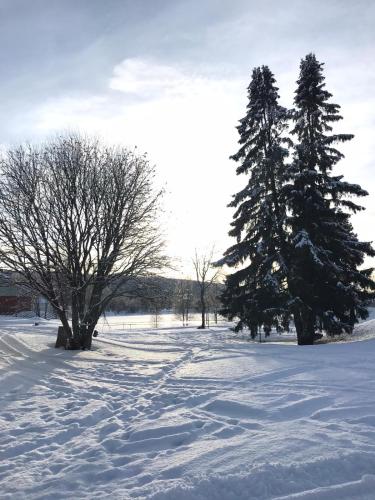 Apartment Suutarintie - Authentic Lappish experience by the River semasa musim sejuk