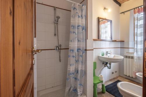 een badkamer met een douche en een wastafel bij Casale Pian Di Menta in Manciano