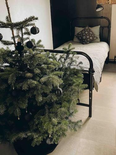 Voodi või voodid majutusasutuse Greenspot - Loft with 2 bedrooms and free parking toas