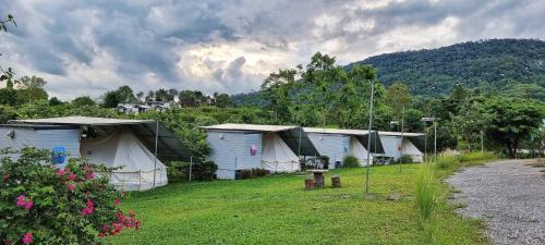 a row of tents in a field with a mountain at เขาเจ้าขา2 in Khao Kho