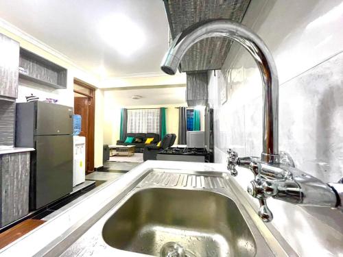 Il comprend une cuisine avec un évier et un salon. dans l'établissement Xellent Suites- Marg House, à Nakuru