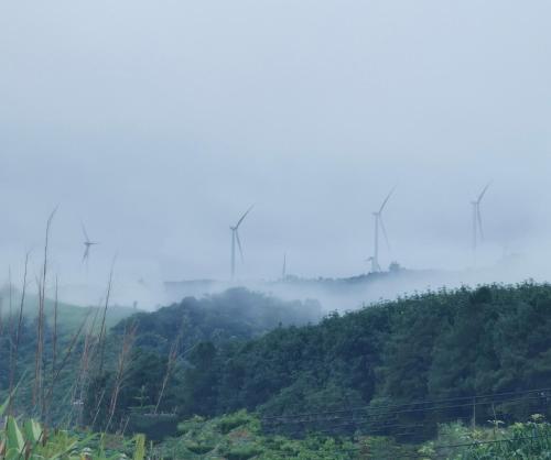 a misty hill with trees and windmills in the background at โซพราว เขาค้อ So Proud Khaokho in Khao Kho