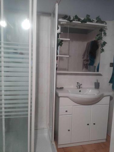 une salle de bain avec douche et lavabo dans l'établissement T3 plein centre ville, à Istres