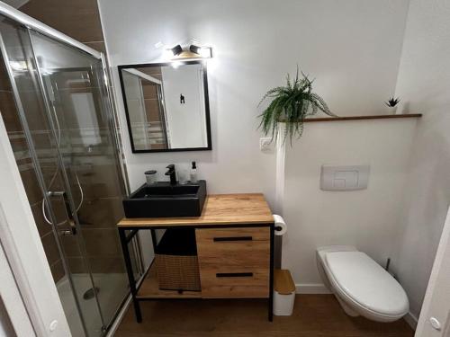 une salle de bain avec un lavabo, une douche et des toilettes dans l'établissement Studio cosy rémois, à Reims