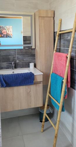 La salle de bains est pourvue d'une échelle, d'un lavabo et d'une baignoire. dans l'établissement Studio vue montagne, à Rivesaltes